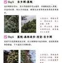 林芝旅游 缩略图 4