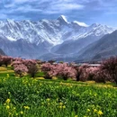 林芝旅游 缩略图 10