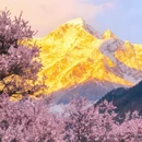 林芝旅游 缩略图 2
