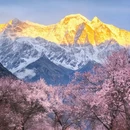 林芝旅游 缩略图 3