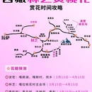 林芝旅游 缩略图 1
