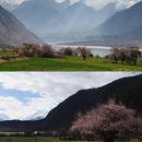林芝旅游 缩略图 5