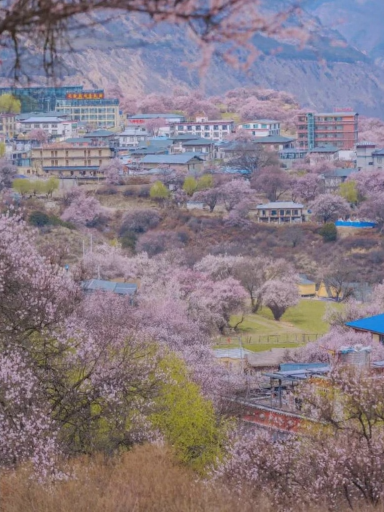 林芝旅游