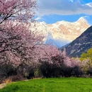 林芝旅游 缩略图 4