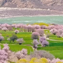 林芝旅游 缩略图 2