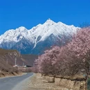 林芝旅游 缩略图 3