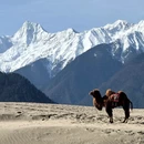 林芝旅游 缩略图 6