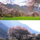 林芝旅游 缩略图 2