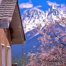 林芝旅游 缩略图 6