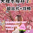 大理州旅游 缩略图 1