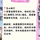 大理州旅游 缩略图 4