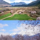 林芝旅游 缩略图 3