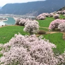 林芝旅游 缩略图 4