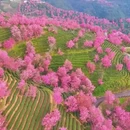 大理州旅游 缩略图 3