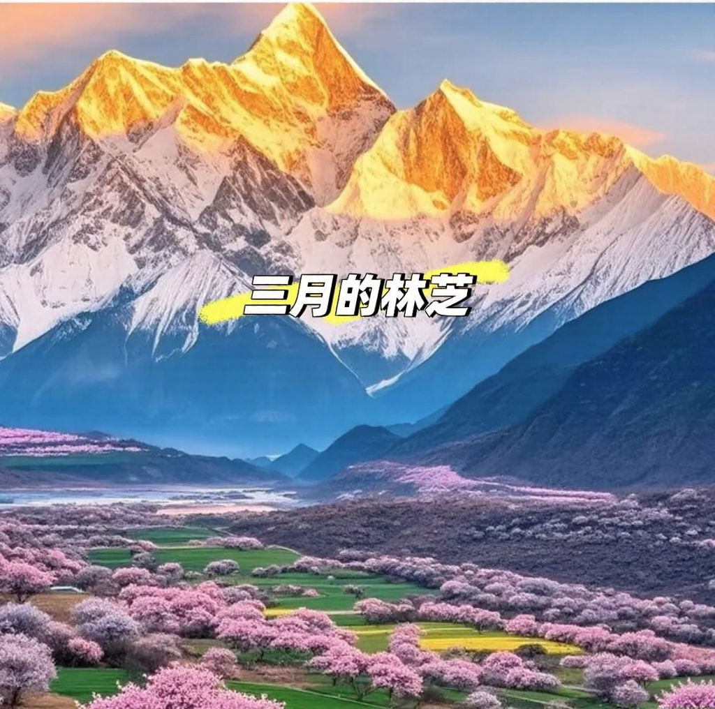 林芝旅游