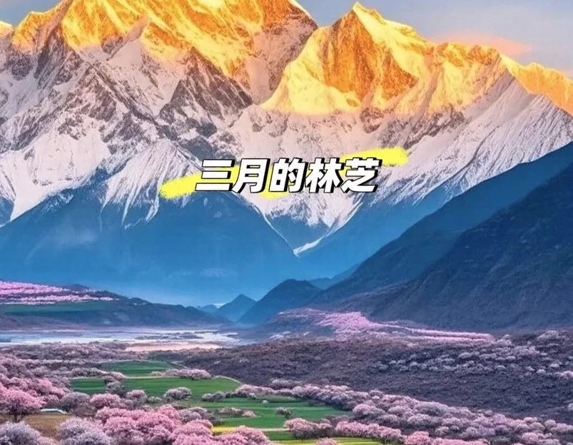 林芝旅游 1