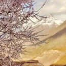 林芝旅游 缩略图 1