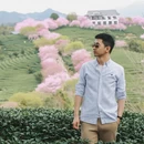 大理州旅游 缩略图 6