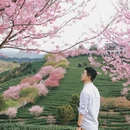 大理州旅游 缩略图 4