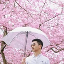 大理州旅游 缩略图 7