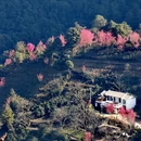大理州旅游 缩略图 4