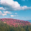大理州旅游 缩略图 3