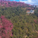 大理州旅游 缩略图 6