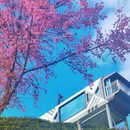 大理州旅游 缩略图 9