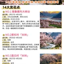 林芝旅游 缩略图 3