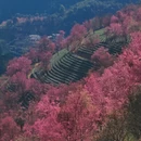 大理州旅游 缩略图 1