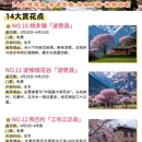 林芝旅游 缩略图 6