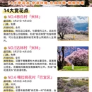 林芝旅游 缩略图 4