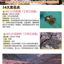 林芝旅游 缩略图 7
