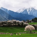林芝旅游 缩略图 1