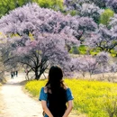 林芝旅游 缩略图 1