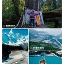 林芝旅游 缩略图 3