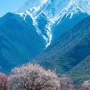 林芝旅游 缩略图 8