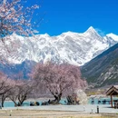 林芝旅游 缩略图 9