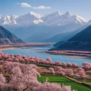 林芝旅游 缩略图 3