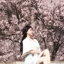 林芝旅游 缩略图 5