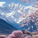 林芝旅游 缩略图 1
