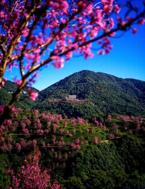 大理州旅游