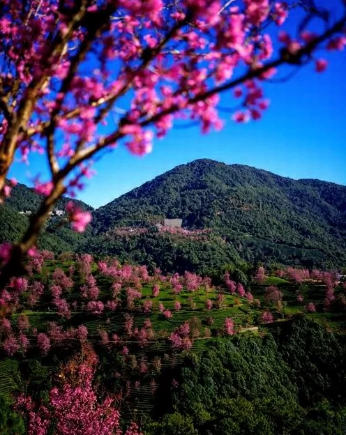 大理州旅游 1