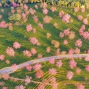 大理州旅游 缩略图 3