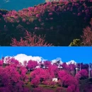 大理州旅游 缩略图 2