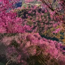 大理州旅游 缩略图 5