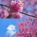 大理州旅游 缩略图 3