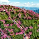 大理州旅游 缩略图 4