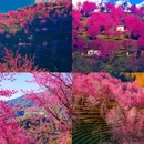 大理州旅游 缩略图 8