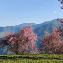 大理州旅游 缩略图 4